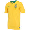 Nike Brasilien Shirts Größe. L - Masculina